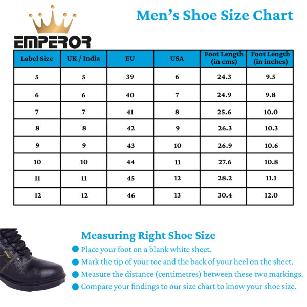 Rex Safety Shoes - Image 2