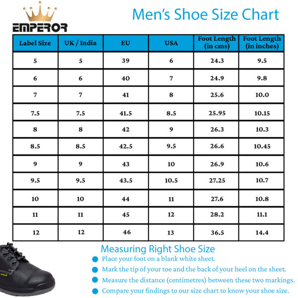 Electrical Safety Shoes - Image 2